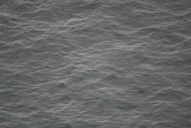 Missing Picture